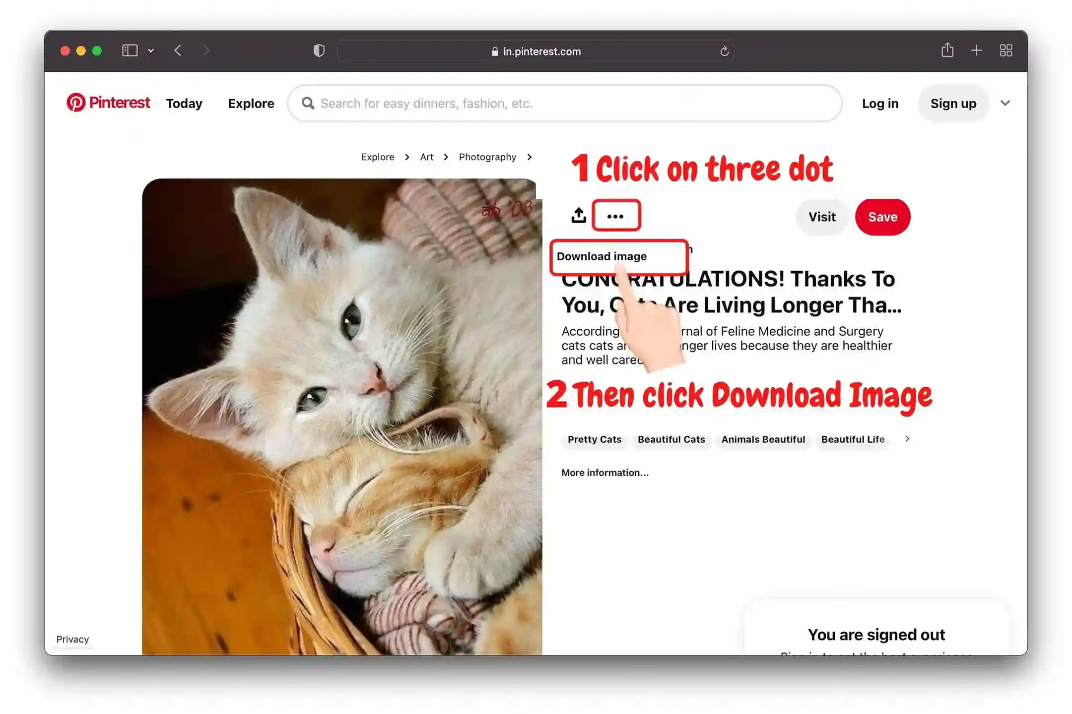 Pinterest website video download guide